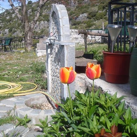 Terpsichori Guesthouse Kepésovon Dış mekan fotoğraf