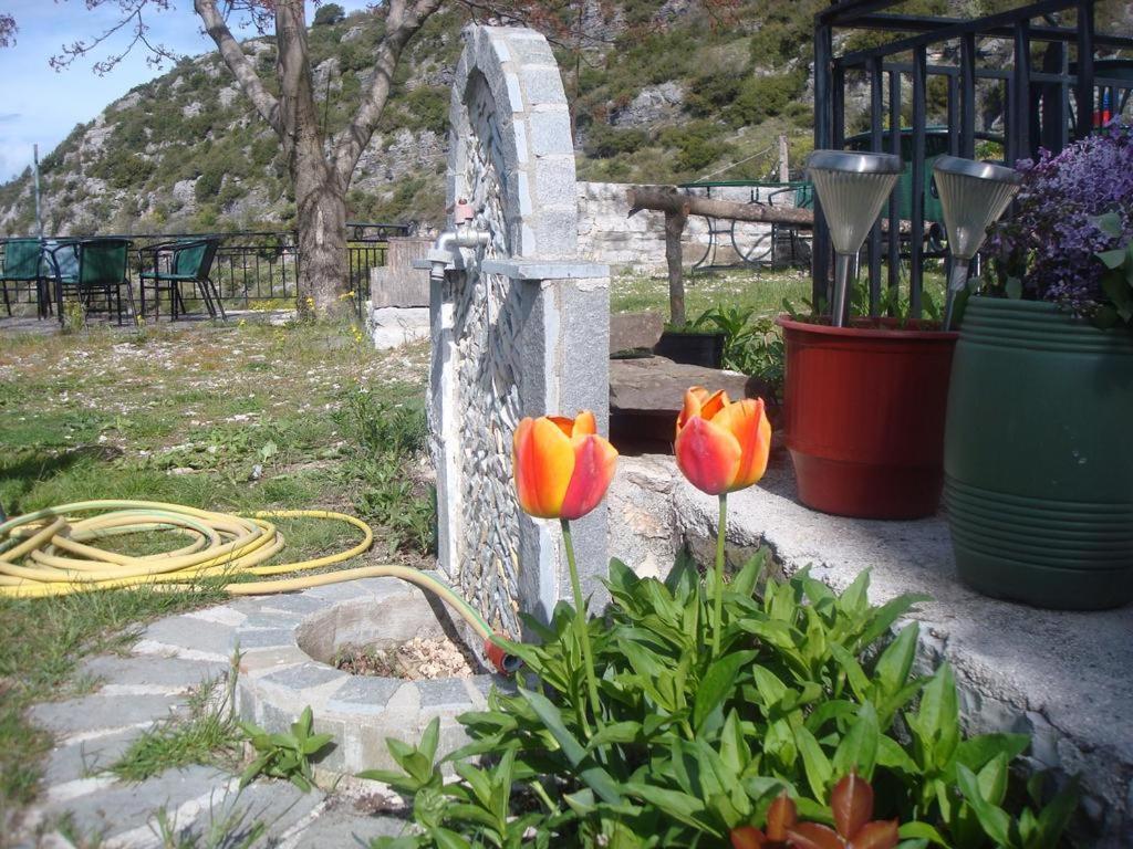 Terpsichori Guesthouse Kepésovon Dış mekan fotoğraf